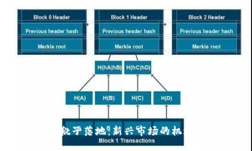虚拟币靴子落地：新兴市场的机遇与挑战