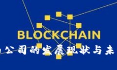 杭州虚拟币公司的发展现