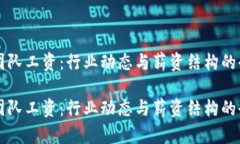 虚拟币团队工资：行业动