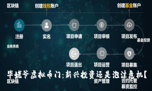 毕姥爷虚拟币门：新兴投资还是泡沫危机？