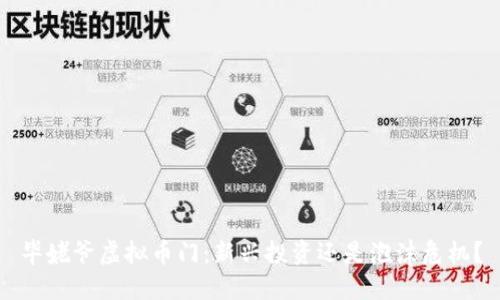 毕姥爷虚拟币门：新兴投资还是泡沫危机？