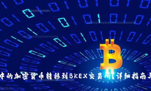 如何将TP钱包中的加密货币转移到BKEX交易所？详细指南与常见问题解答