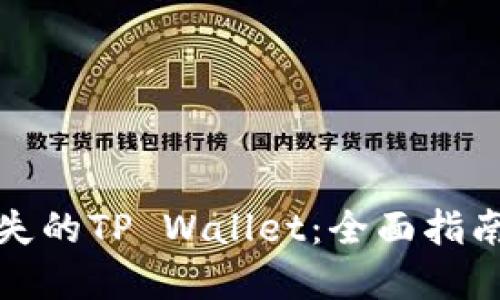 如何找回丢失的TP Wallet：全面指南与实用技巧