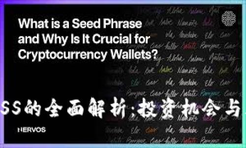 虚拟币GSS的全面解析：投资机会与风险评估