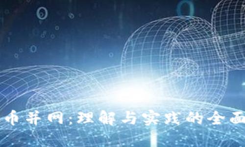 虚拟币并网：理解与实践的全面指南