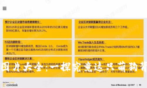 狗狗币（Dogecoin）图片大全：一探究竟这只萌狗背后的虚拟货币文化