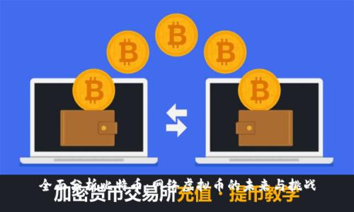 全面分析比特币：网络虚拟币的未来与挑战
