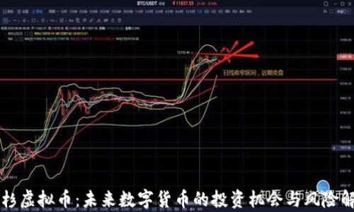 
红杉虚拟币：未来数字货币的投资机会与风险解析