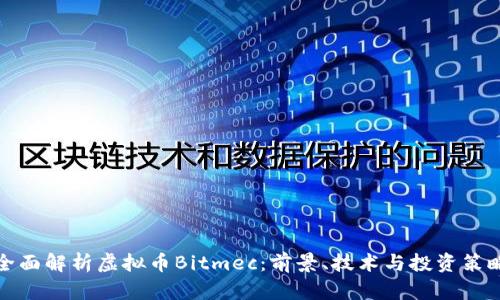 全面解析虚拟币Bitmec：前景、技术与投资策略