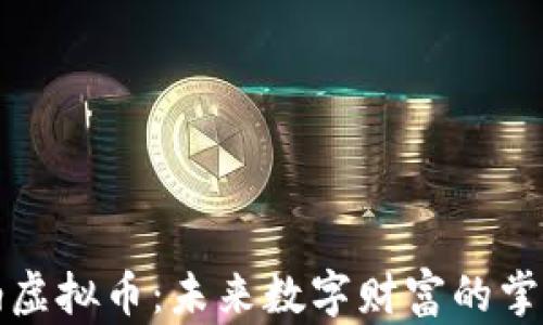 
海纳虚拟币：未来数字财富的掌控者
