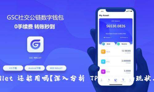 TPWallet 还能用吗？深入分析 TPWallet 的现状与未来