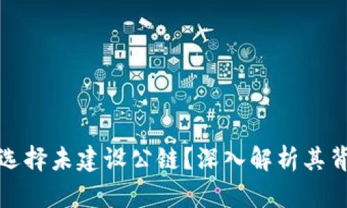 为何某些虚拟币选择未建设公链？深入解析其背后的原因与影响