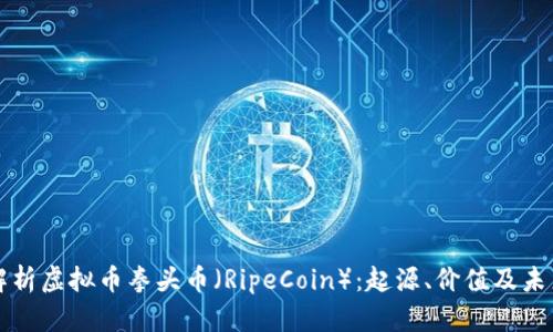 全面解析虚拟币拳头币（RipeCoin）：起源、价值及未来展望
