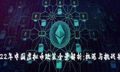2022年中国虚拟币政策全景