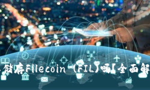 TPWallet可以储存Filecoin (FIL)吗？全面解析与使用指南