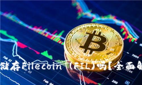 TPWallet可以储存Filecoin (FIL)吗？全面解析与使用指南