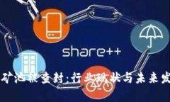 虚拟币矿池被查封：行业