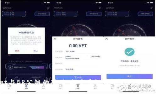 TPWallet与BR公链的联动：探索多链数字资产管理的新前沿