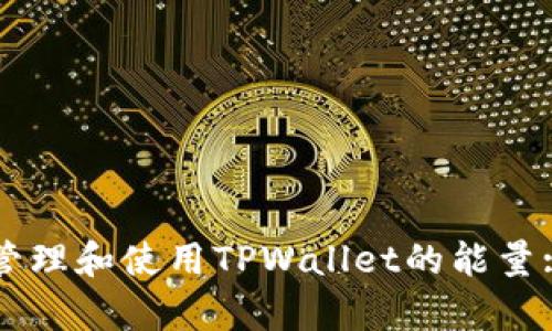如何有效管理和使用TPWallet的能量: 完整指南