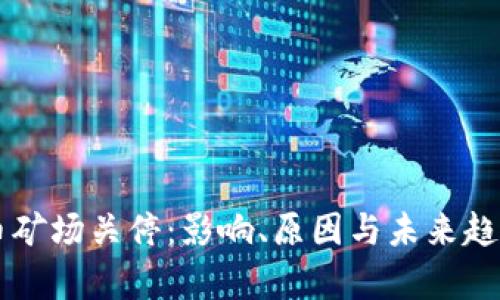 虚拟币矿场关停：影响、原因与未来趋势分析