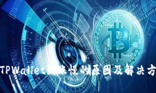 : TPWallet到账慢的原因及解决方案