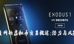 未上主网的虚拟币交易概