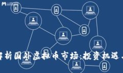 全面解析国外虚拟币市场