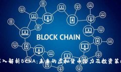 深入解析BCHA：未来的虚拟