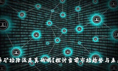 虚拟币矿场降温是真的吗？探讨当前市场趋势与未来发展