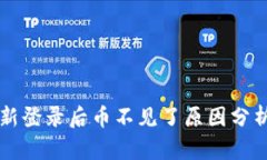 TPWallet重新登录后币不见了
