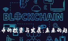 加密虚拟币的投资与发展