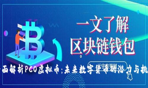 全面解析PCO虚拟币：未来数字货币的潜力与挑战