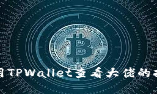 如何使用TPWallet查看大佬的持仓情况