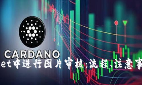 如何在TPWallet中进行图片审核：流程、注意事项与最佳实践