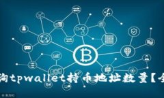 如何查询tpwallet持币地址数