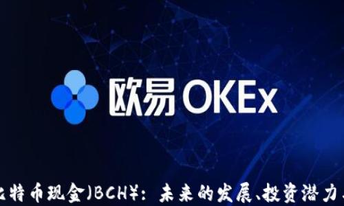 
深入探讨比特币现金（BCH）: 未来的发展、投资潜力与市场趋势